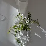 Due Cuori E Casetta Casa de Férias *